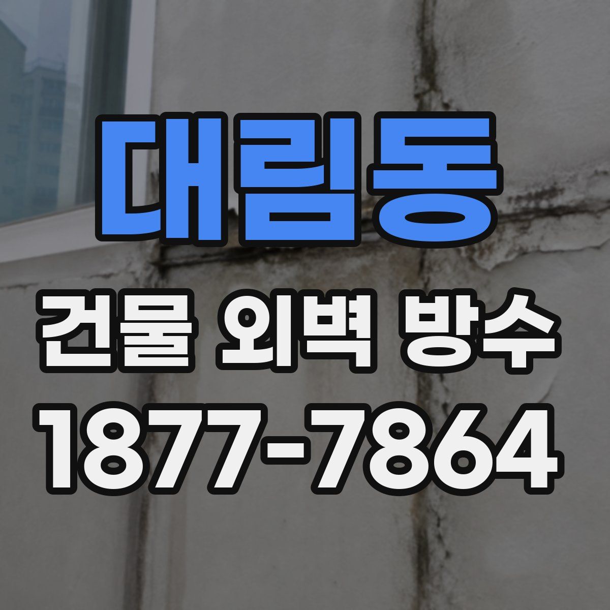 대림동 건물 외벽 방수