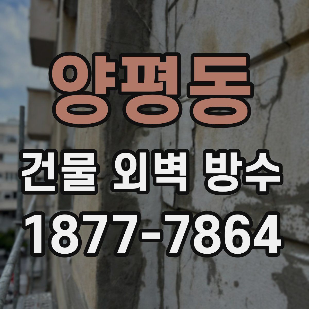 양평동 건물 외벽 방수