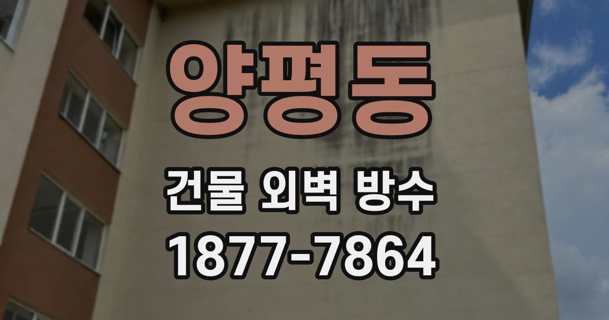양평동 건물 외벽 방수