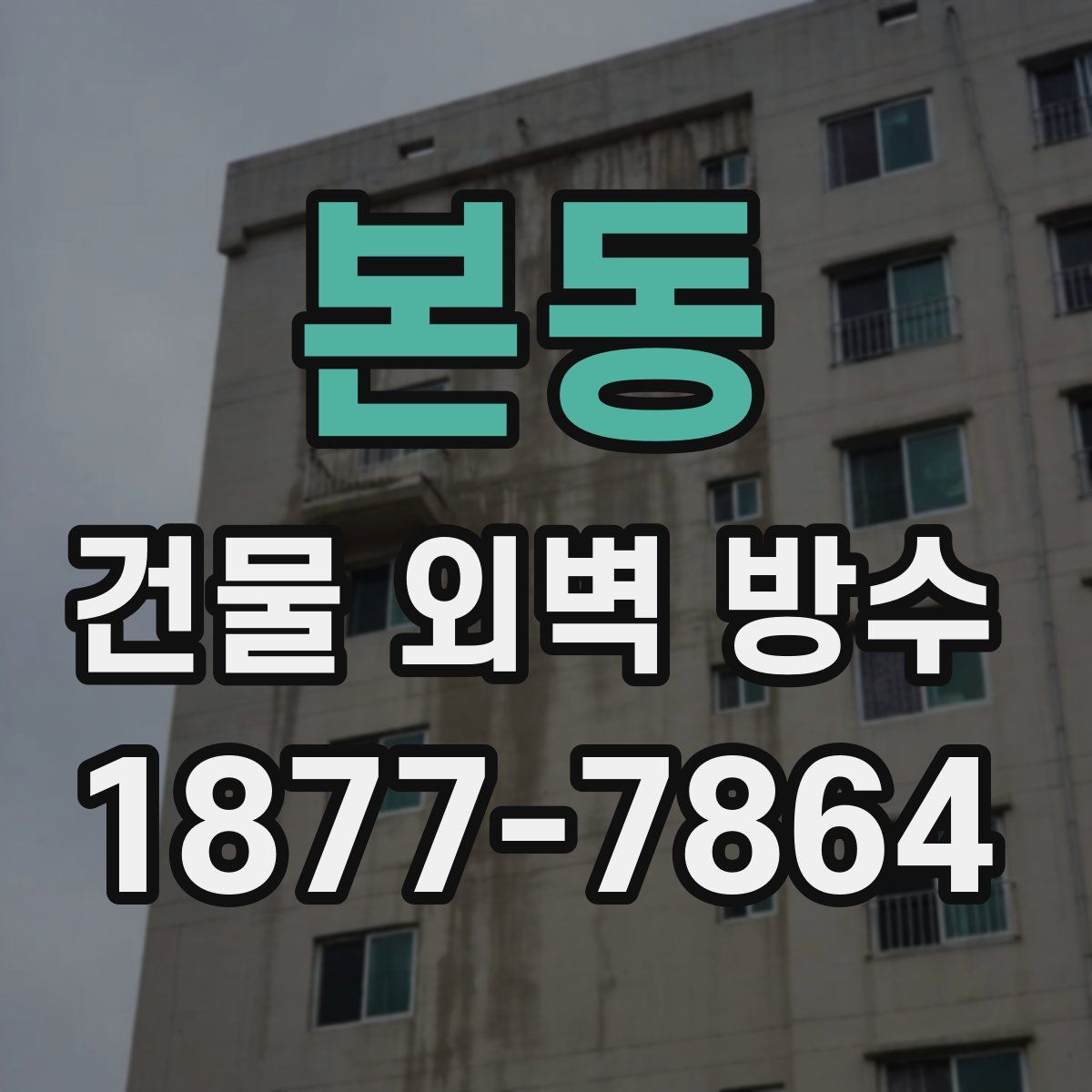 본동 건물 외벽 방수