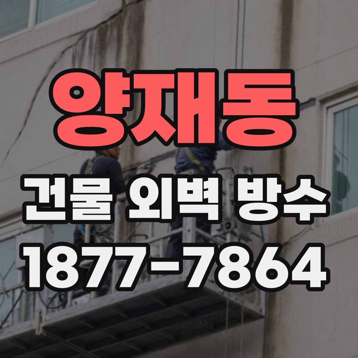 양재동 건물 외벽 방수