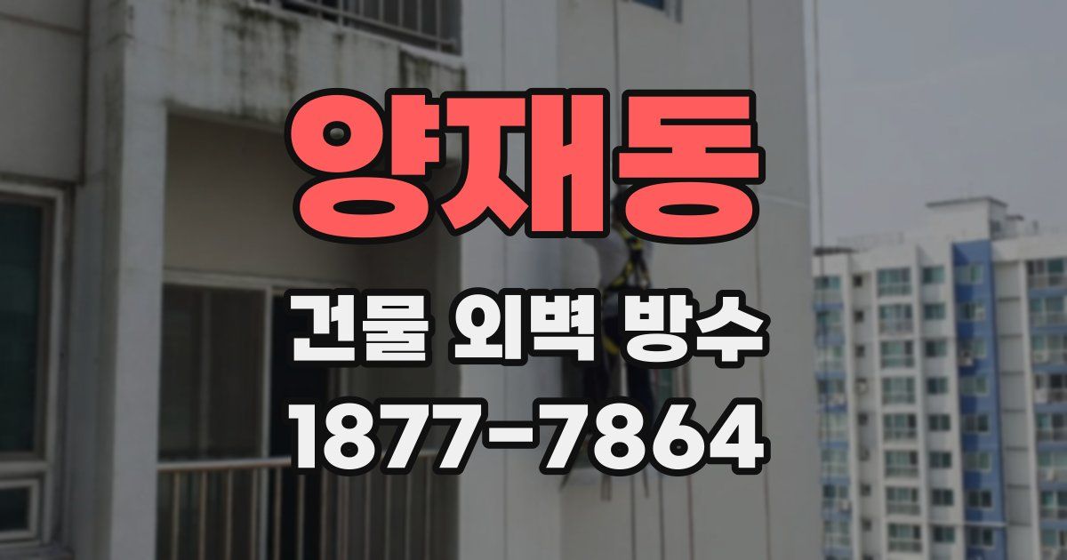 양재동 건물 외벽 방수