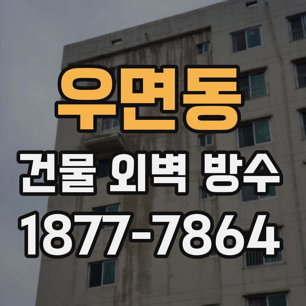 우면동 건물 외벽 방수