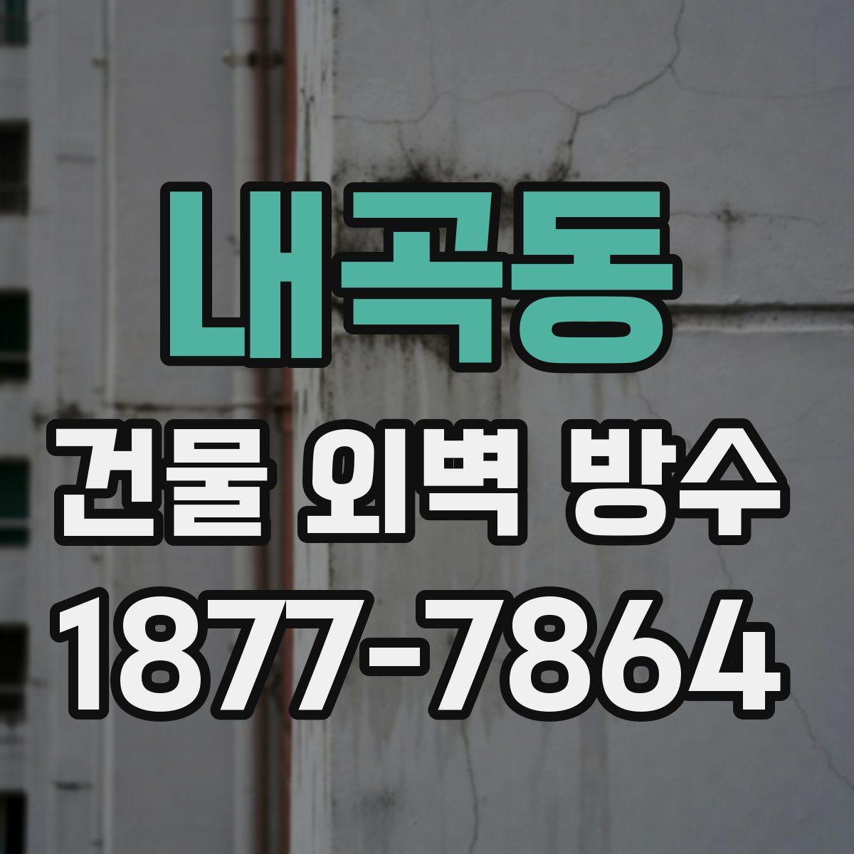 내곡동 건물 외벽 방수