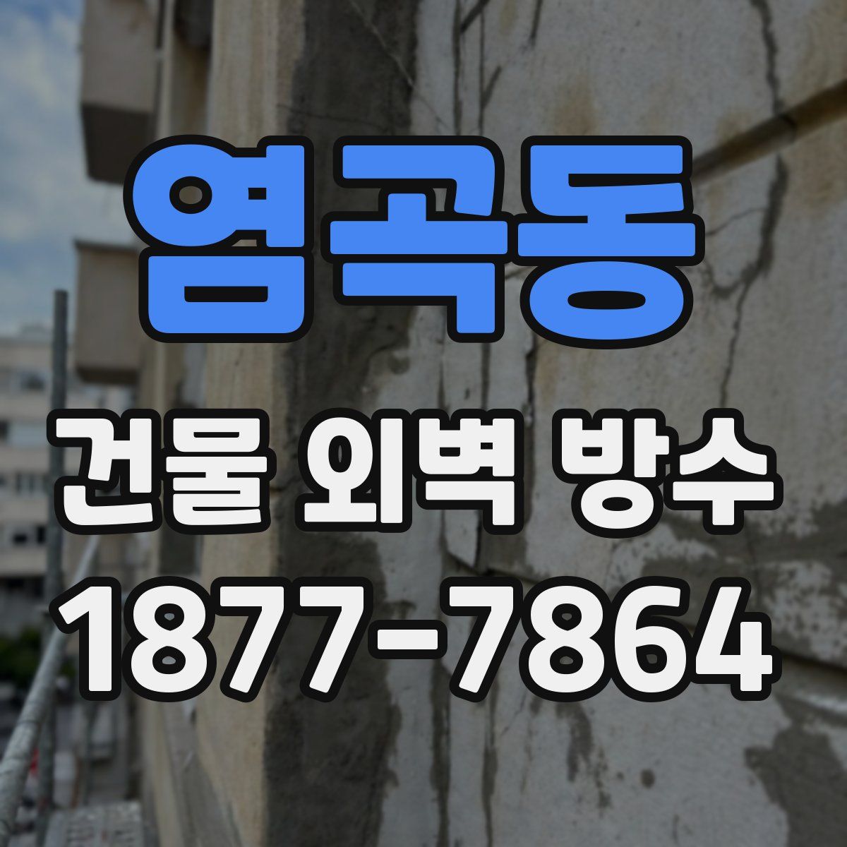 염곡동 건물 외벽 방수
