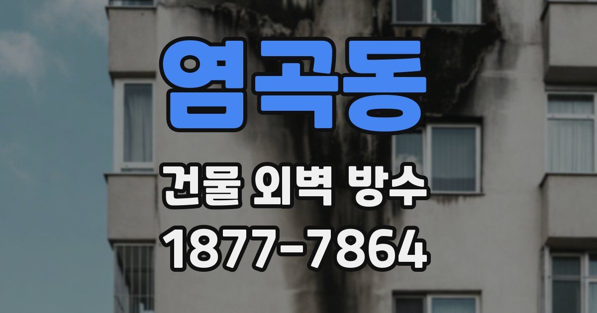 염곡동 건물 외벽 방수
