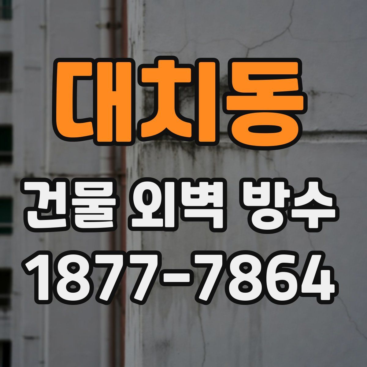 대치동 건물 외벽 방수