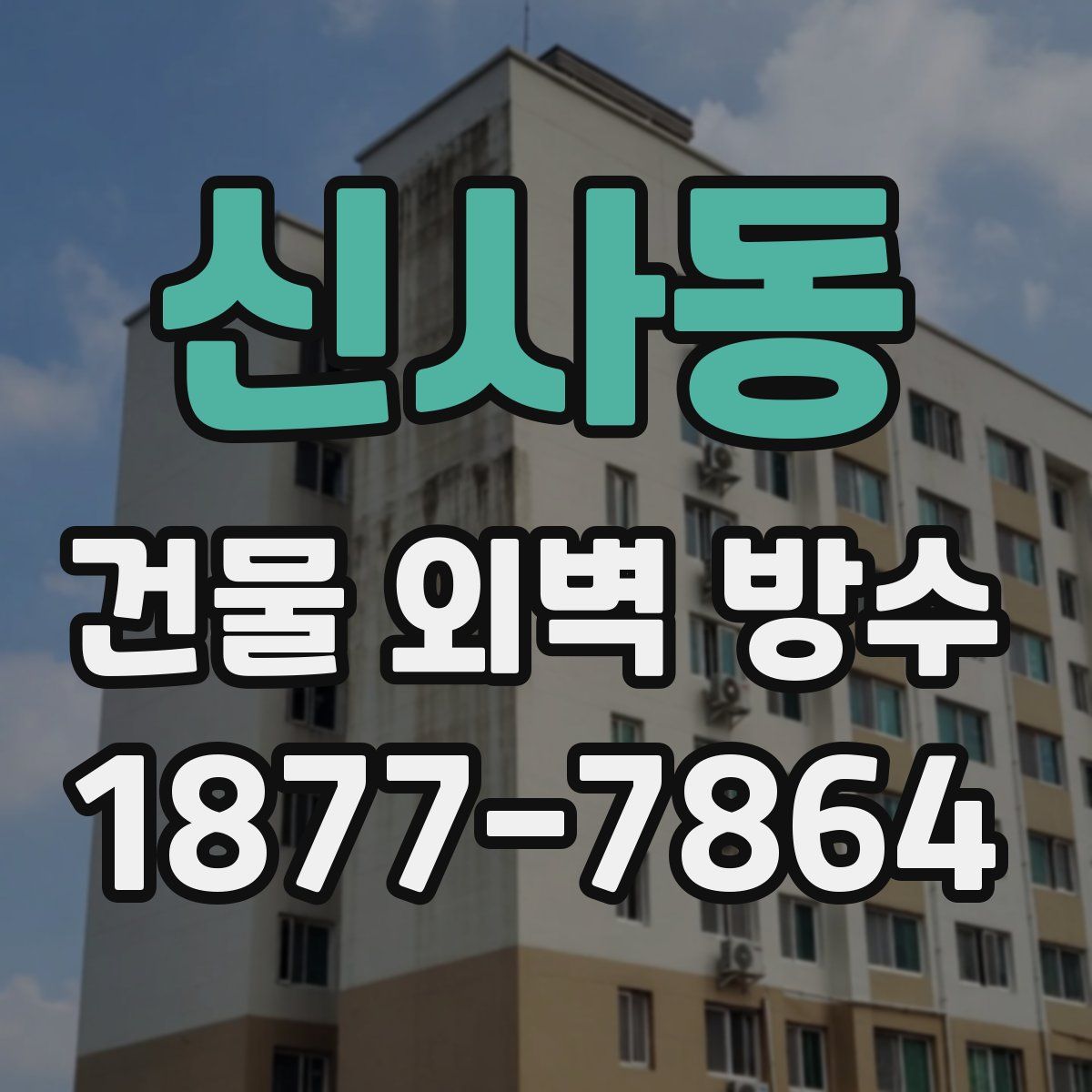 신사동 건물 외벽 방수