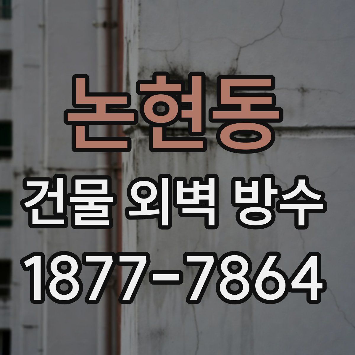 논현동 건물 외벽 방수