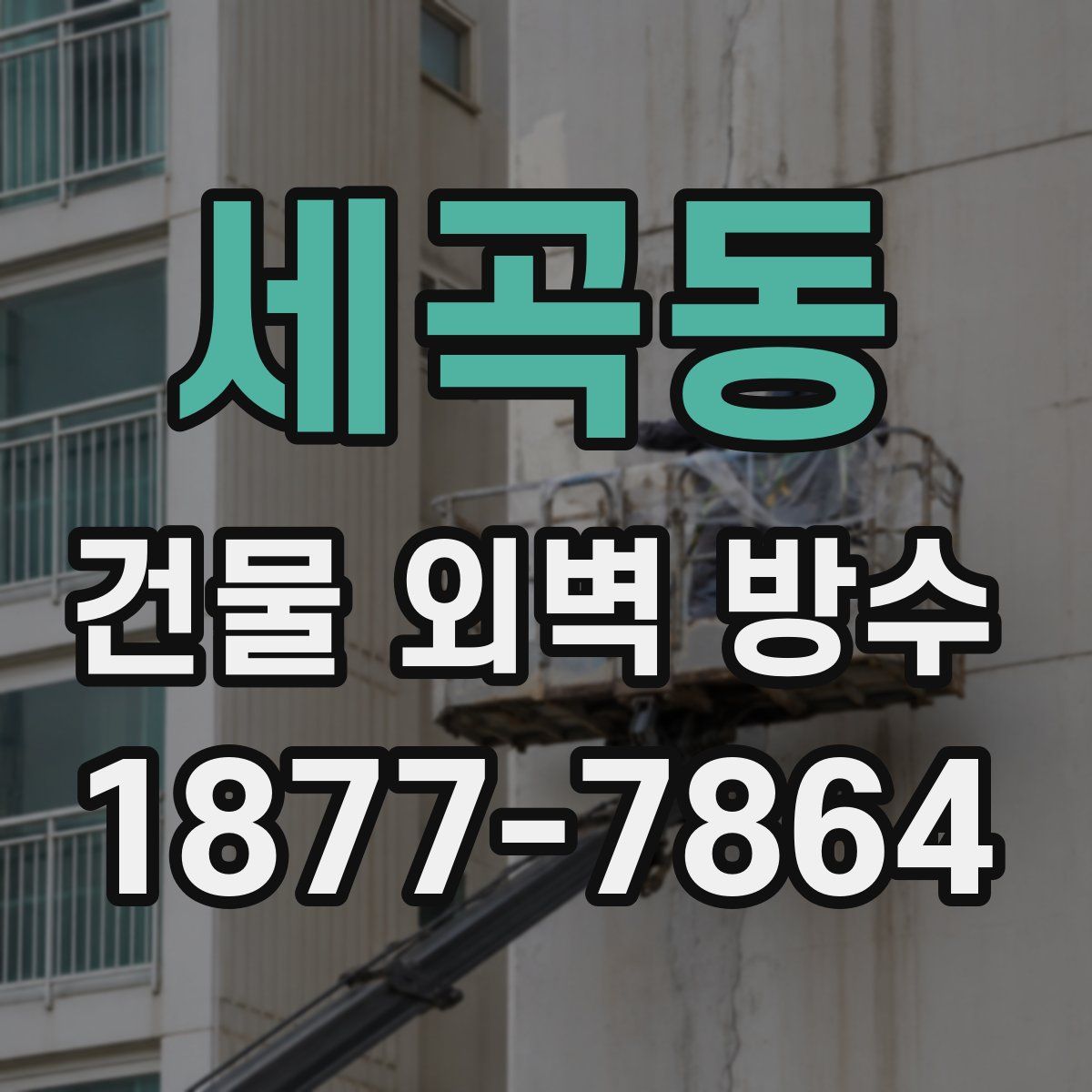 세곡동 건물 외벽 방수