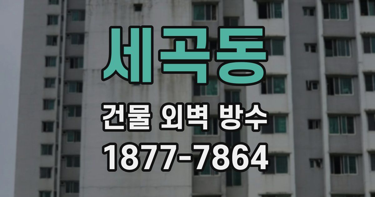세곡동 건물 외벽 방수