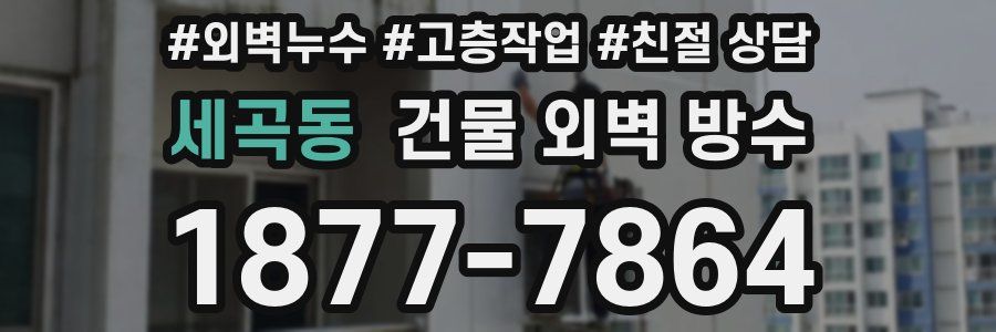 세곡동 건물 외벽 방수