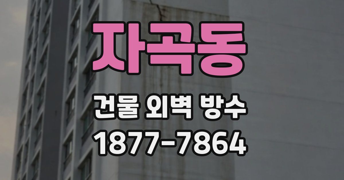 자곡동 건물 외벽 방수