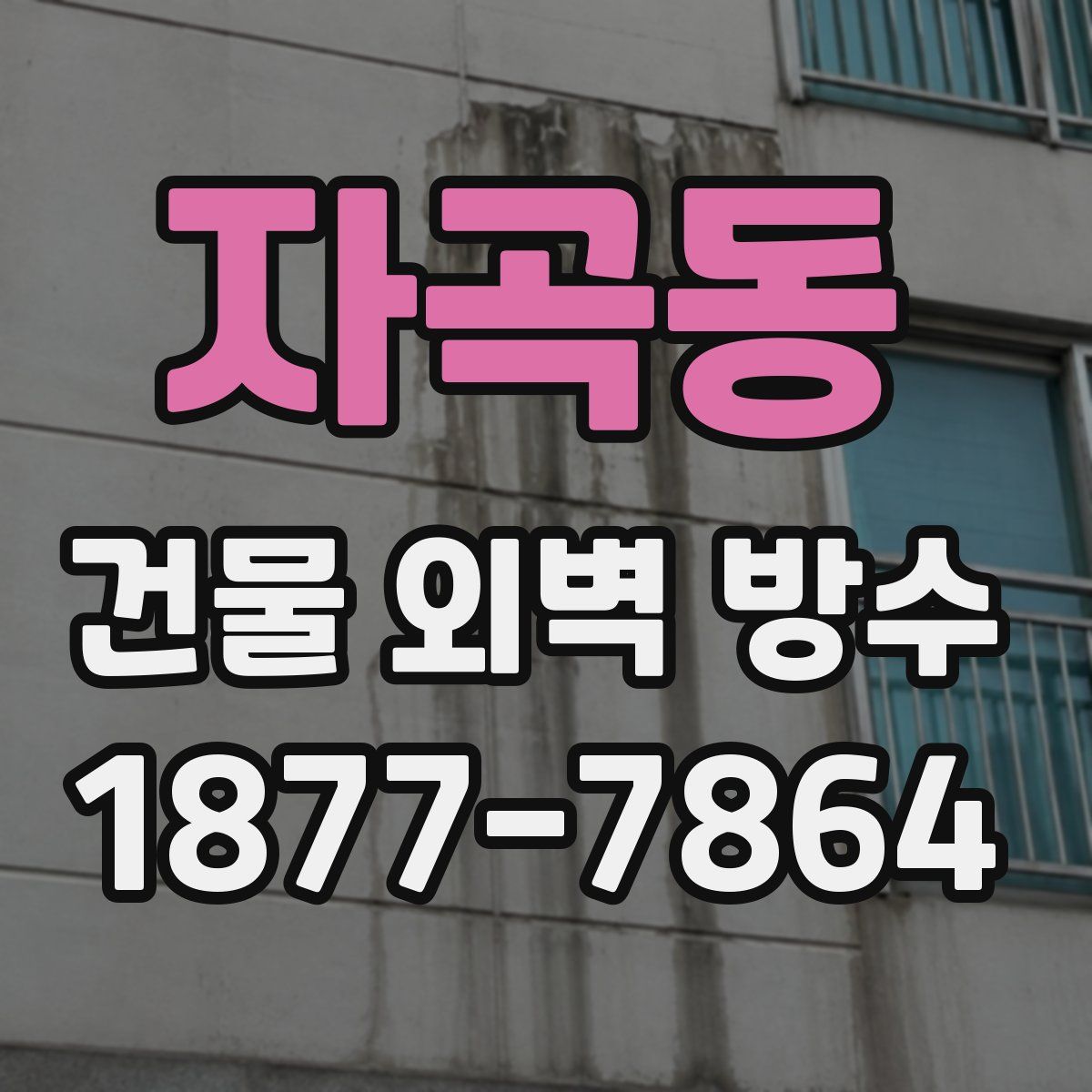 자곡동 건물 외벽 방수
