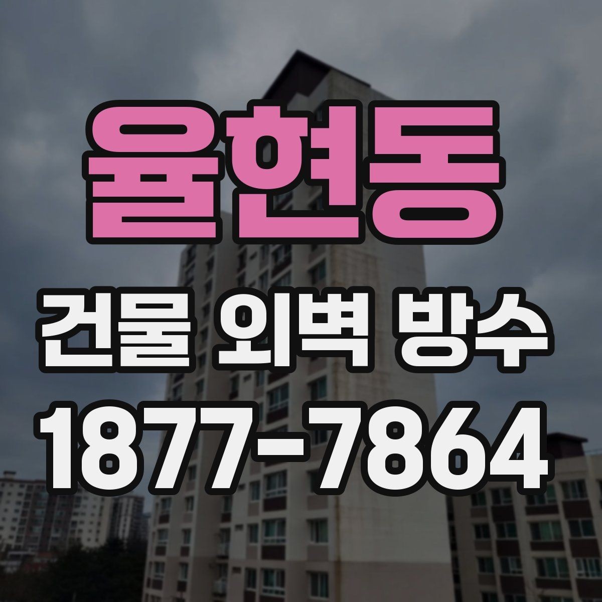 율현동 건물 외벽 방수 업체 상담 전 준비할 내용