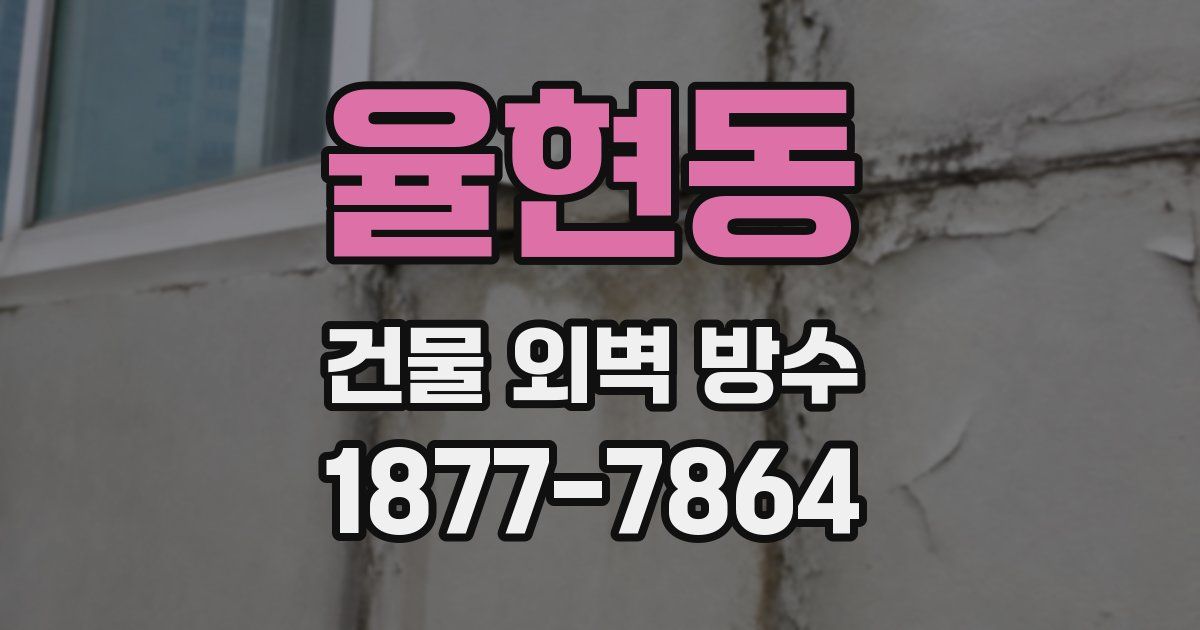 율현동 건물 외벽 방수