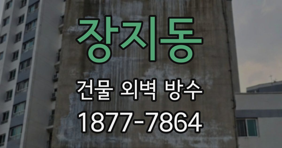 장지동 건물 외벽 방수