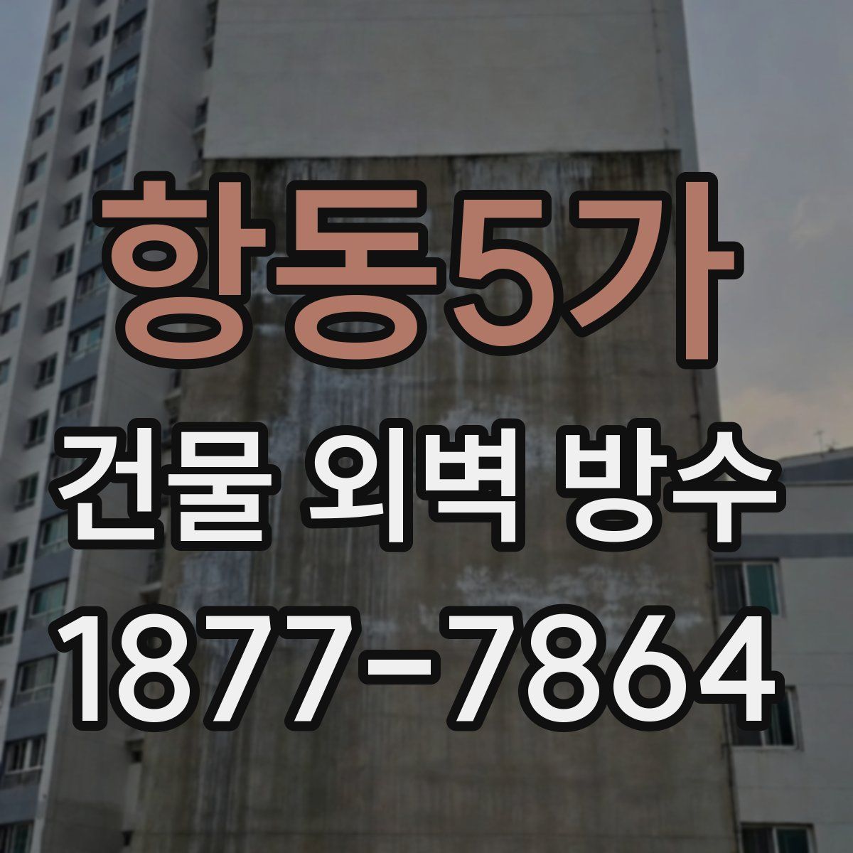 항동5가 건물 외벽 방수
