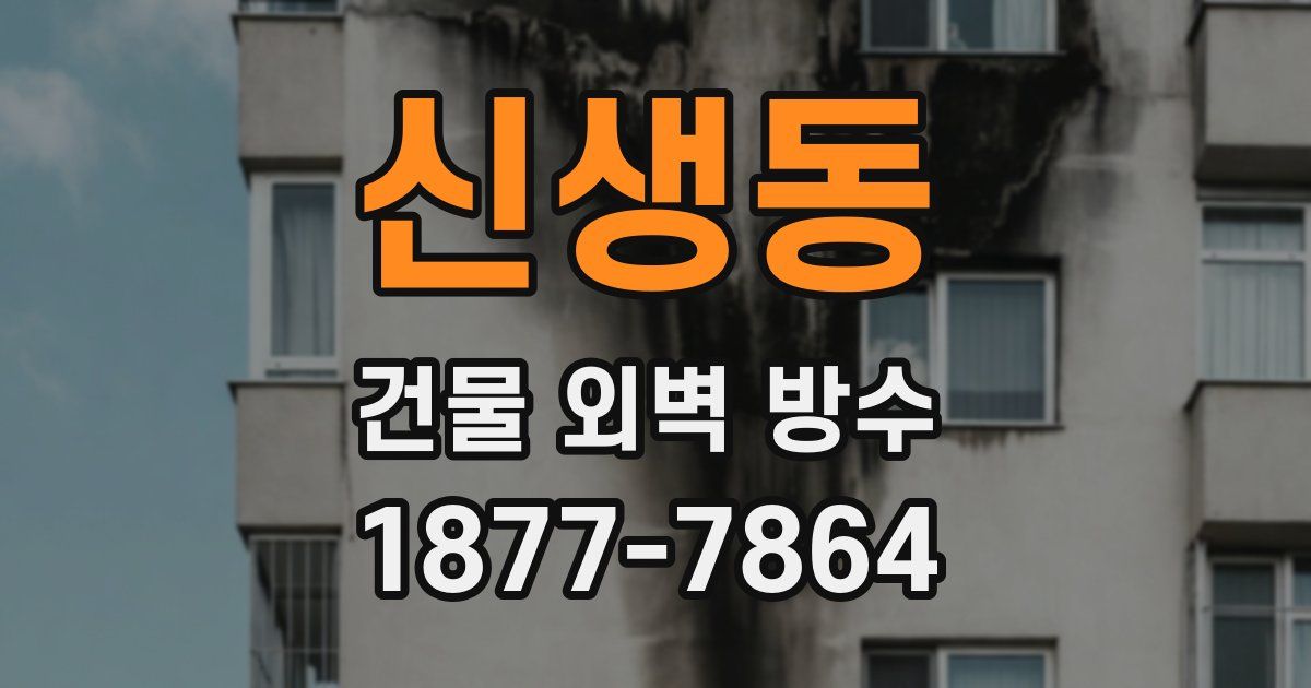 신생동 건물 외벽 방수