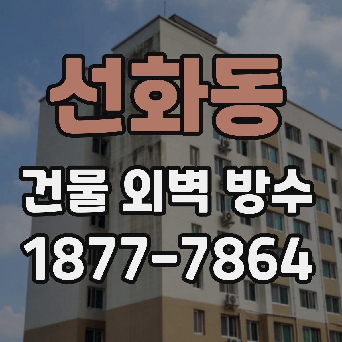 선화동 건물 외벽 방수