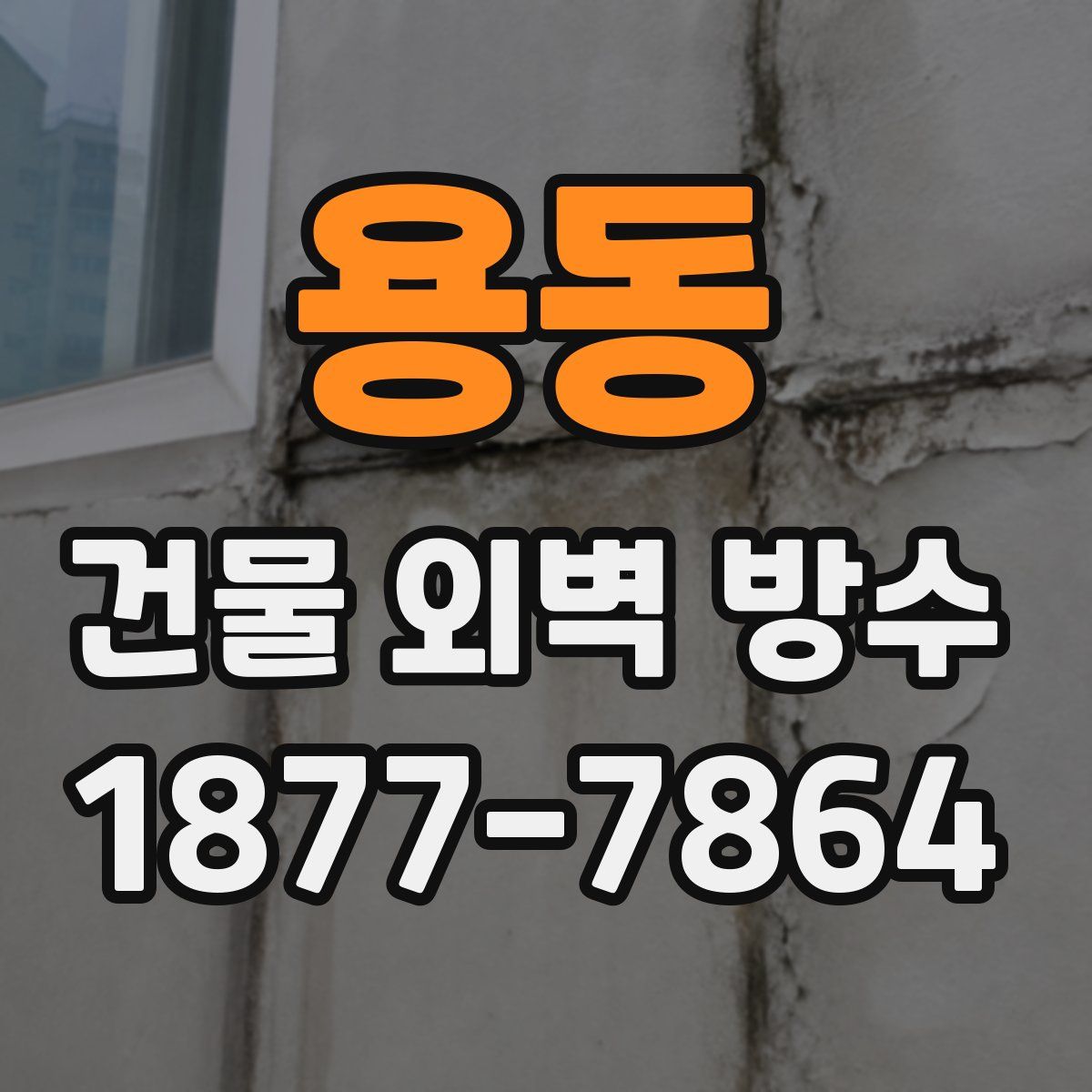 용동 건물 외벽 방수