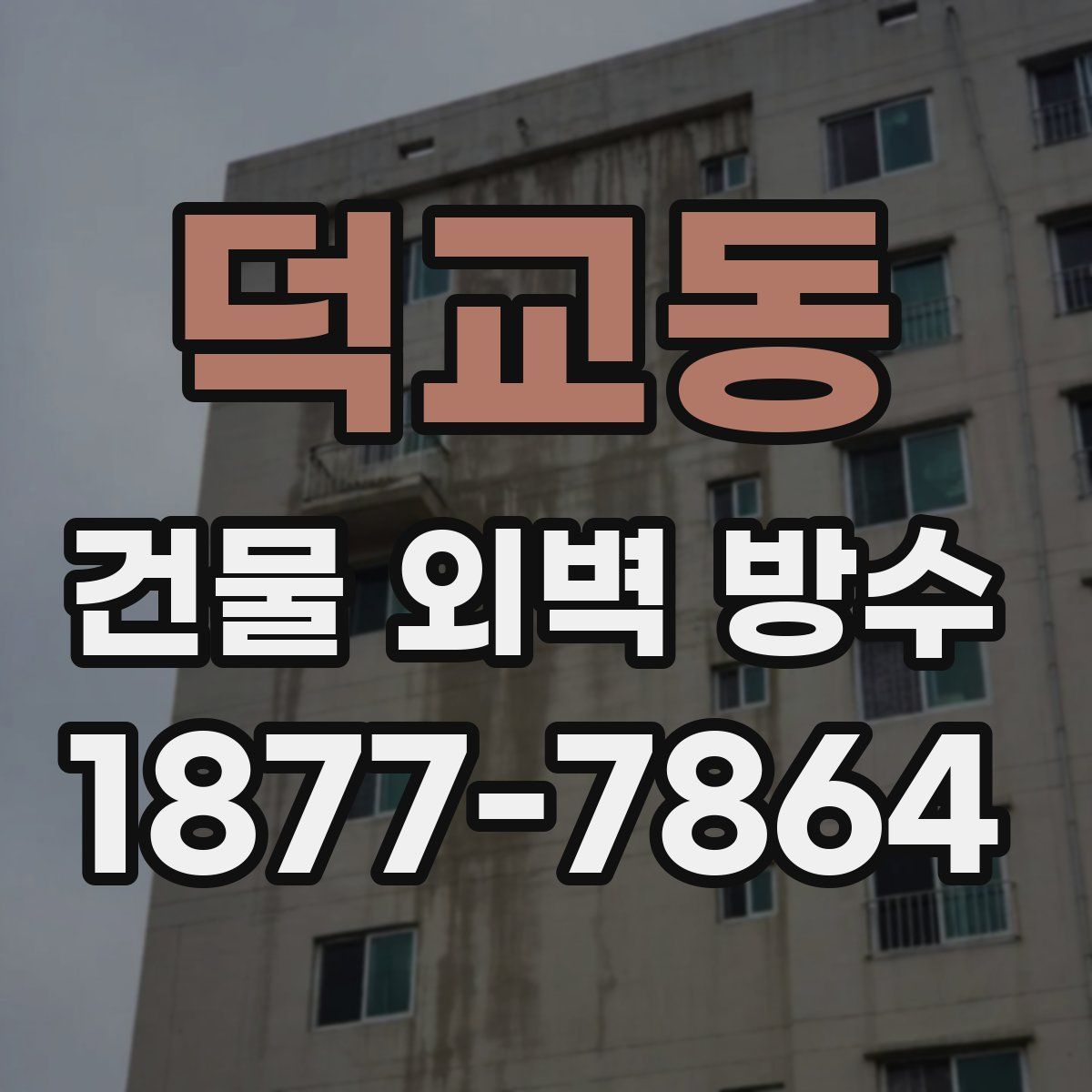 덕교동 건물 외벽 방수
