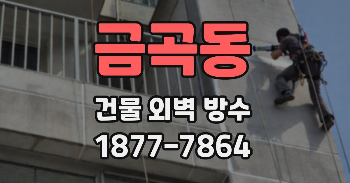 금곡동 건물 외벽 방수