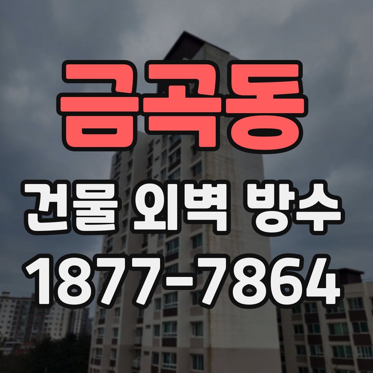 금곡동 건물 외벽 방수