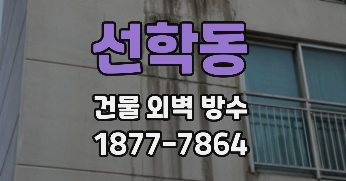 선학동 건물 외벽 방수