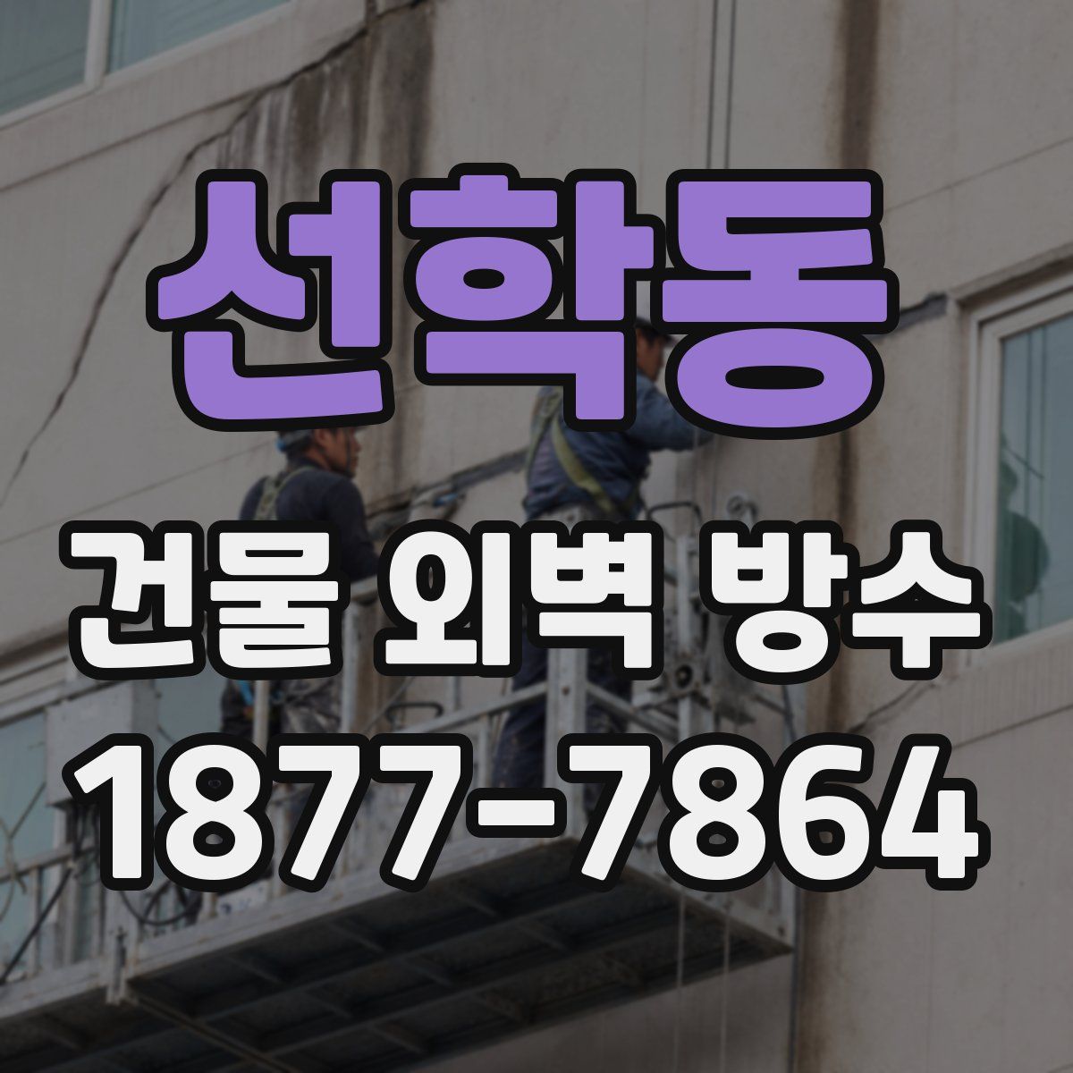 선학동 건물 외벽 방수