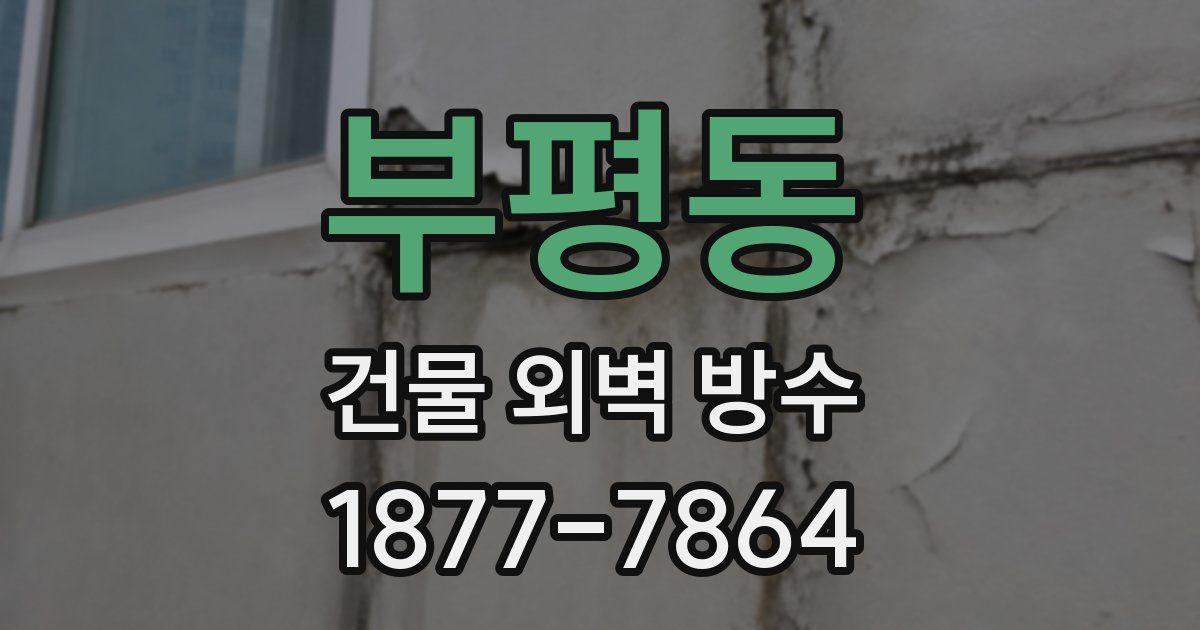 부평동 건물 외벽 방수