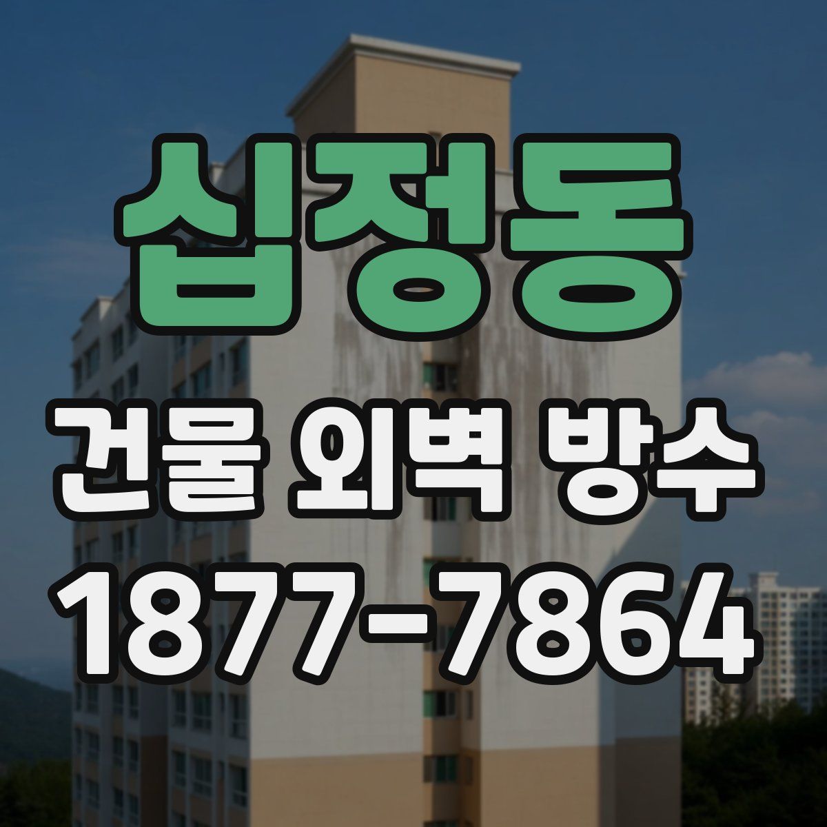 십정동 건물 외벽 방수