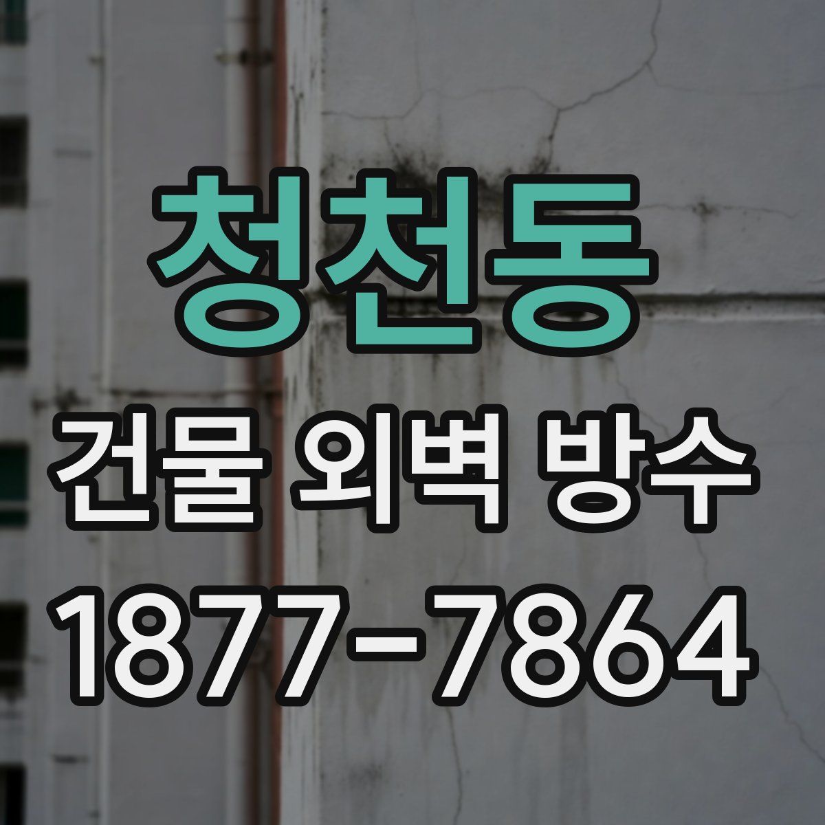 청천동 건물 외벽 방수