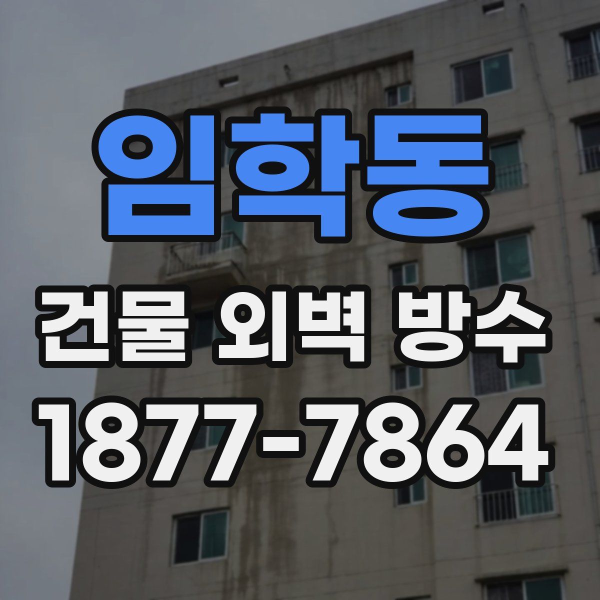 임학동 건물 외벽 방수