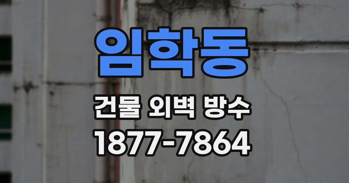 임학동 건물 외벽 방수