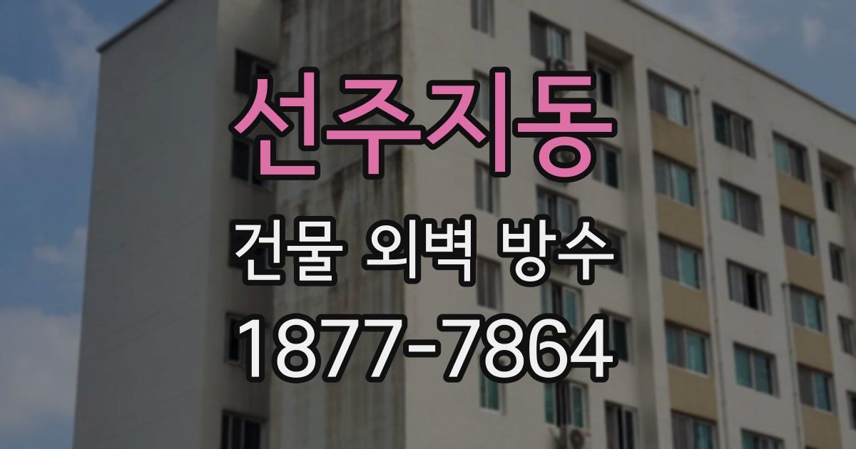선주지동 건물 외벽 방수