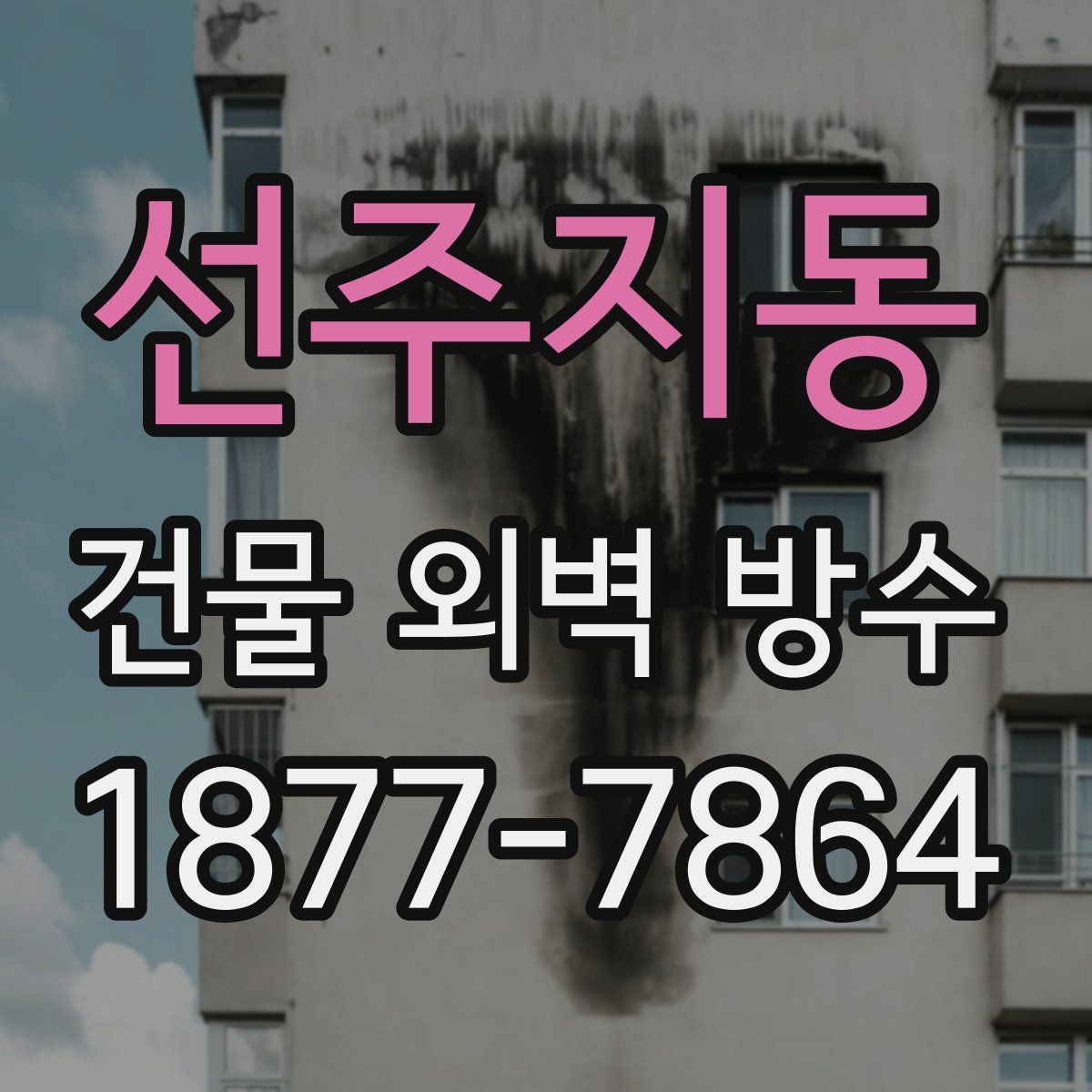선주지동 건물 외벽 방수