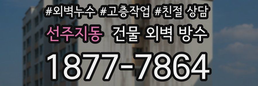 선주지동 건물 외벽 방수
