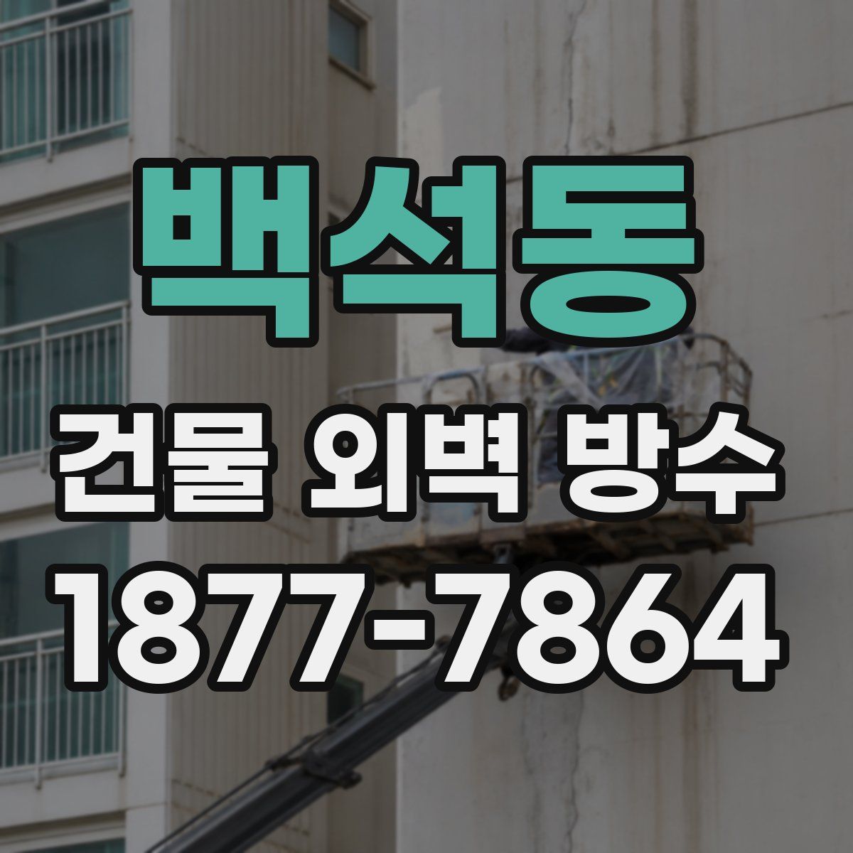 백석동 건물 외벽 방수