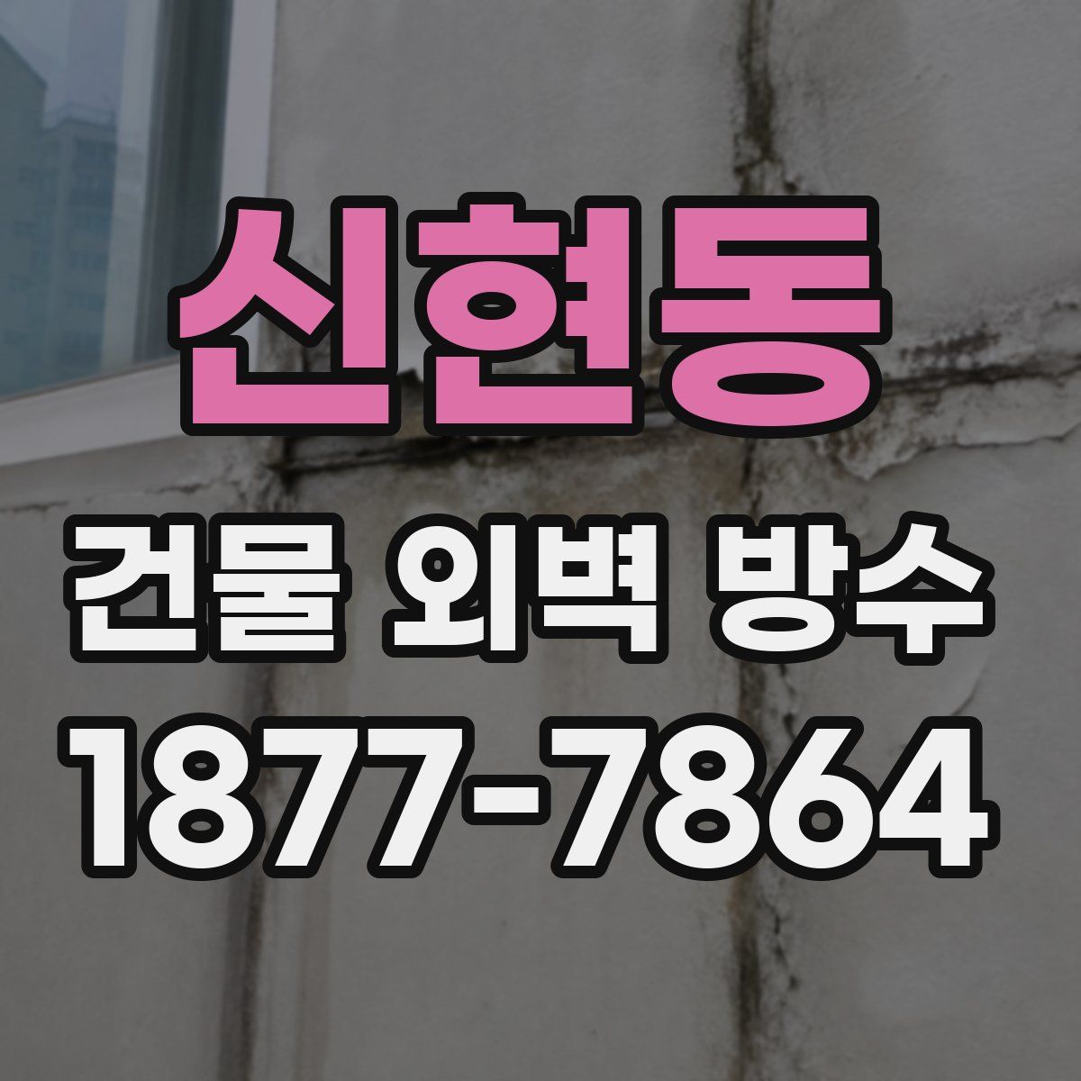 신현동 건물 외벽 방수