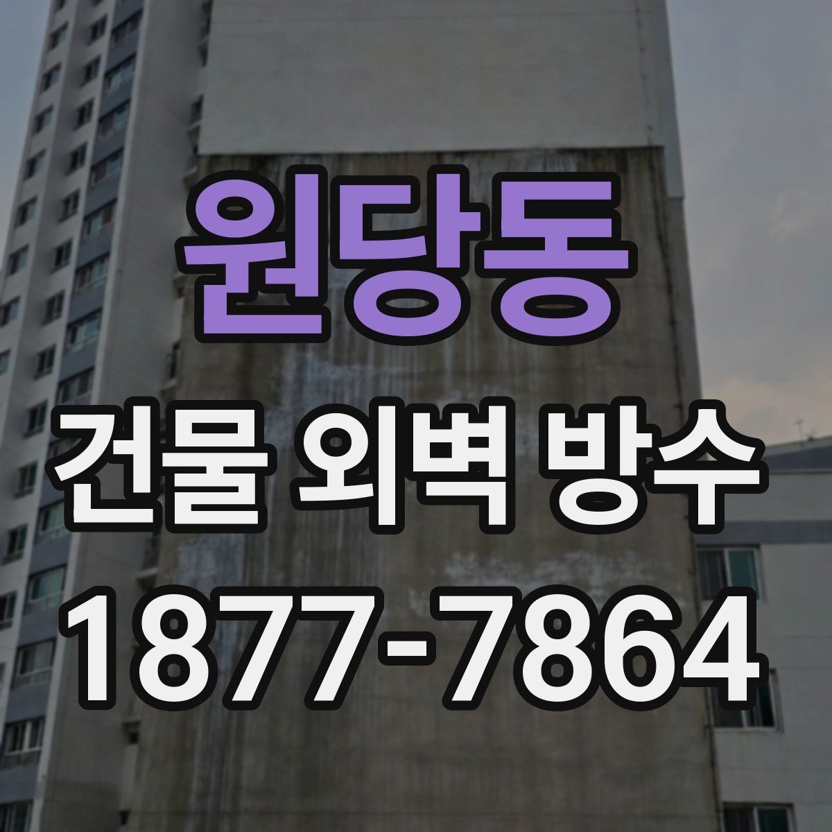 원당동 건물 외벽 방수