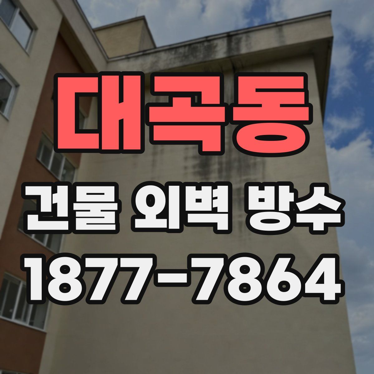 대곡동 건물 외벽 방수
