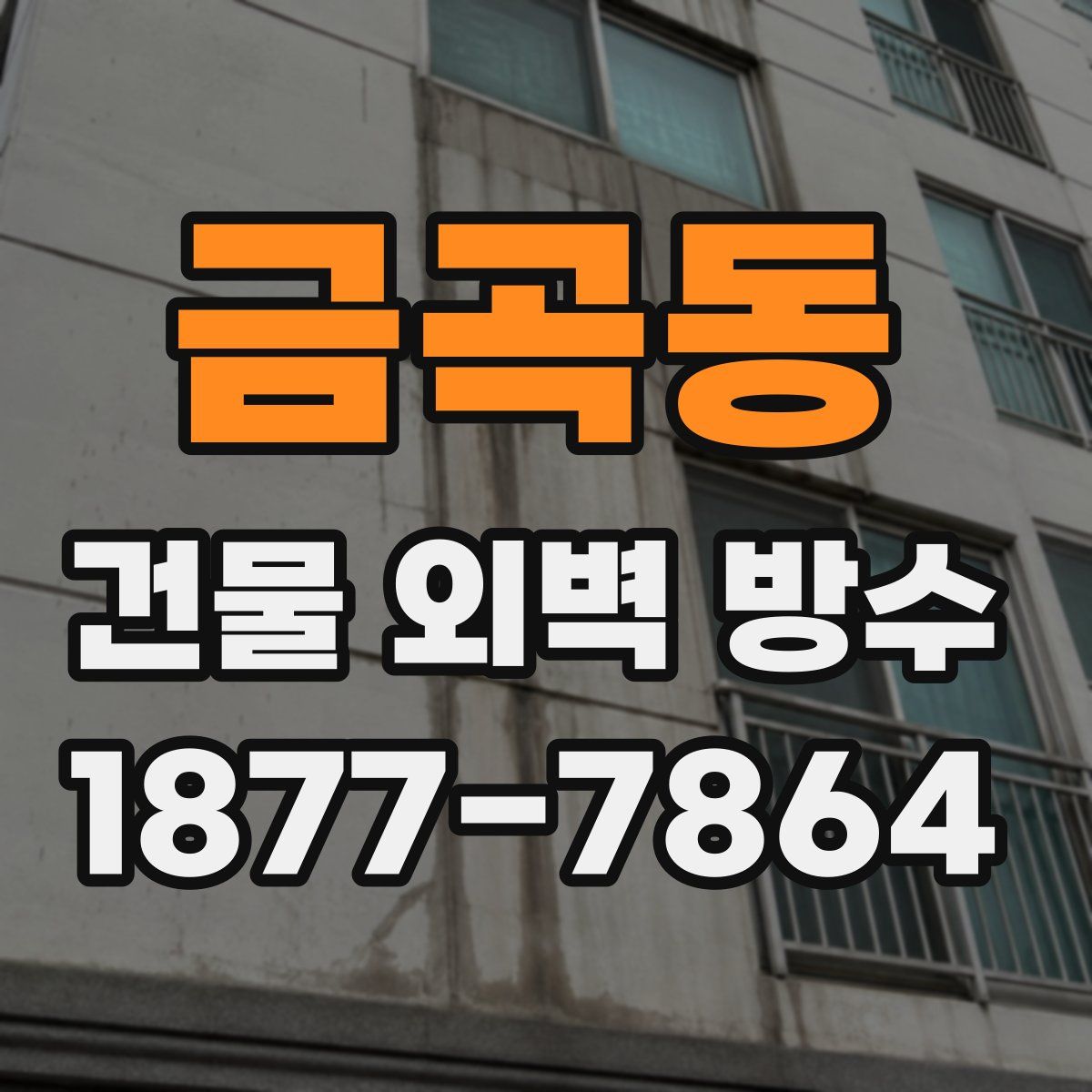 금곡동 건물 외벽 방수
