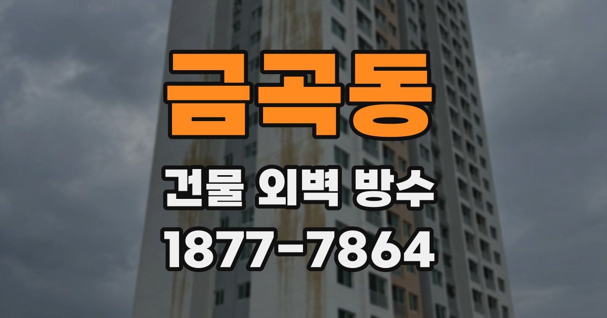 금곡동 건물 외벽 방수