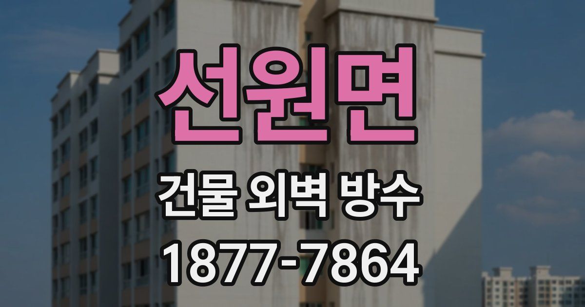 선원면 건물 외벽 방수