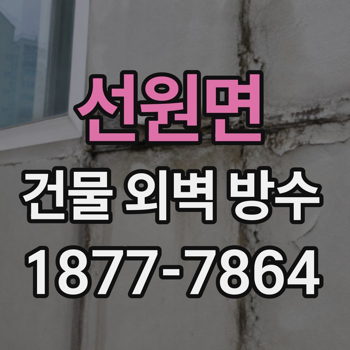 선원면 건물 외벽 방수