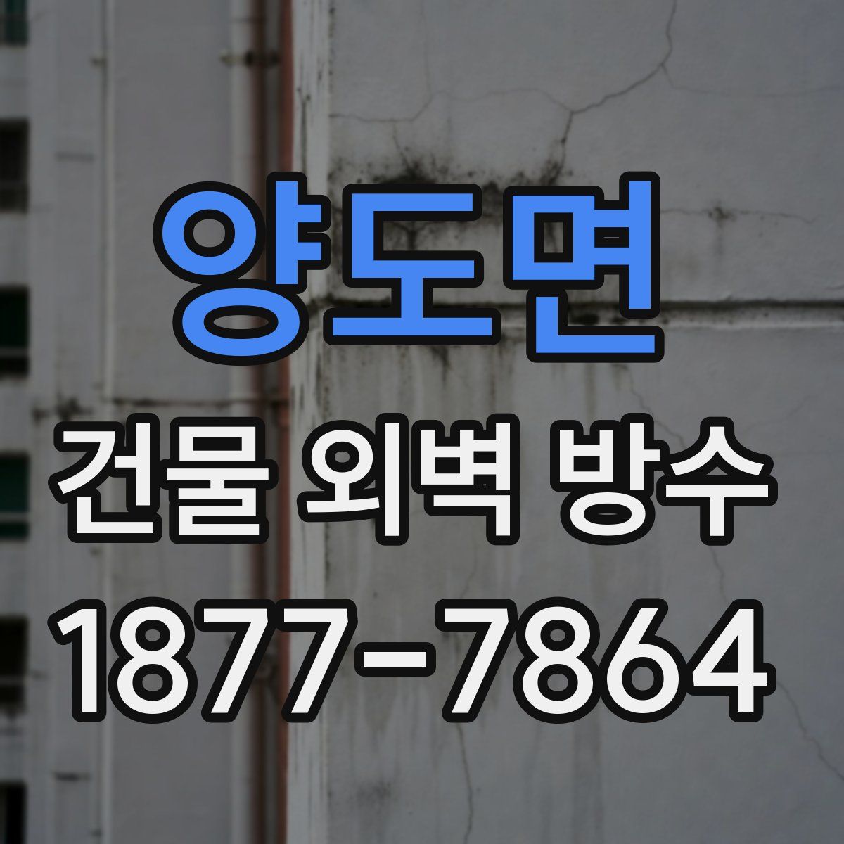 양도면 건물 외벽 방수