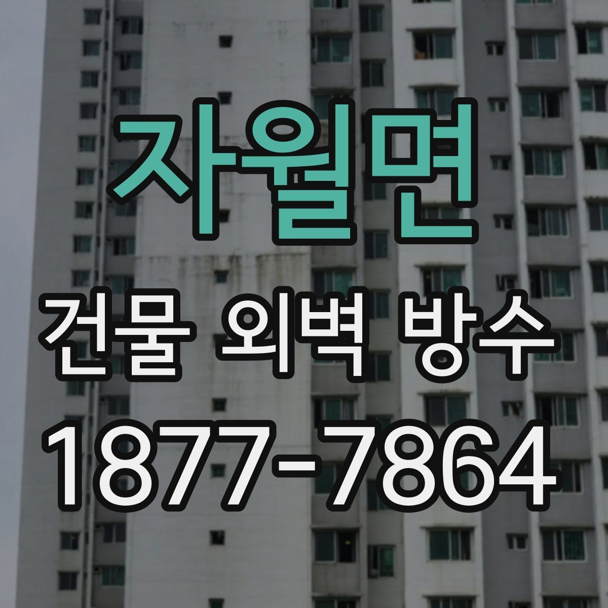 자월면 건물 외벽 방수