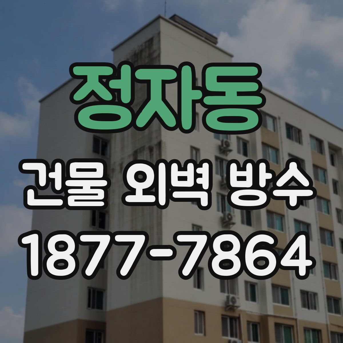 정자동 건물 외벽 방수