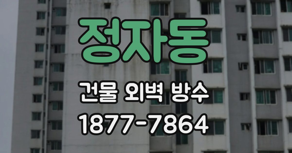 정자동 건물 외벽 방수